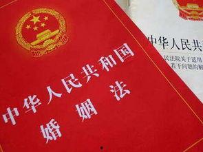 娱乐吃瓜酱婚姻法,揭秘娱乐圈婚姻真相与法律边界